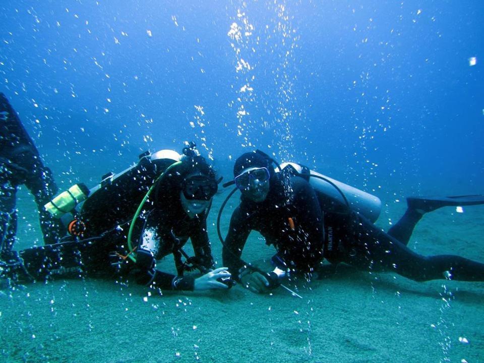 Aivymaes Divers 2* Dauin